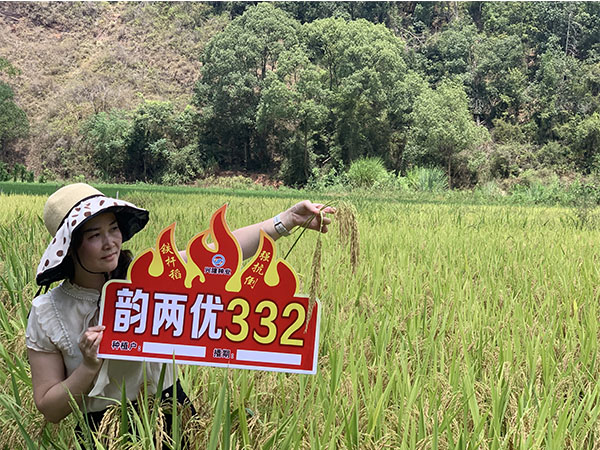 韻兩優332 韻兩優332
