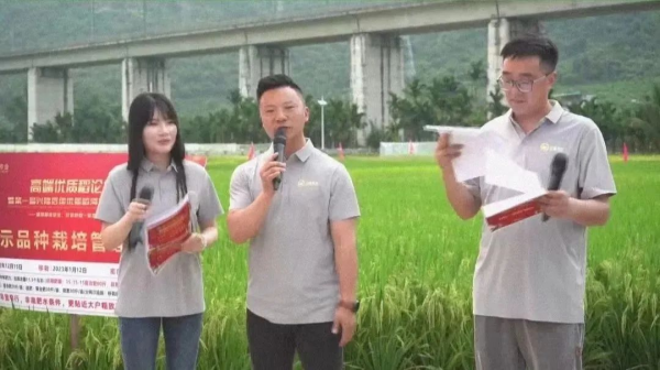 湖南興隆種業有限公司,長沙稻谷種植與銷售,長沙農作物品種的選育,長沙農業病蟲害防治服務 湖南興隆種業有限公司,長沙稻谷種植與銷售,長沙農作物品種的選育,長沙農業病蟲害防治服務