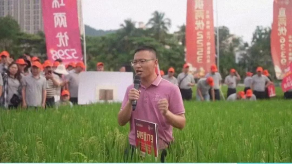 湖南興隆種業有限公司,長沙稻谷種植與銷售,長沙農作物品種的選育,長沙農業病蟲害防治服務 湖南興隆種業有限公司,長沙稻谷種植與銷售,長沙農作物品種的選育,長沙農業病蟲害防治服務