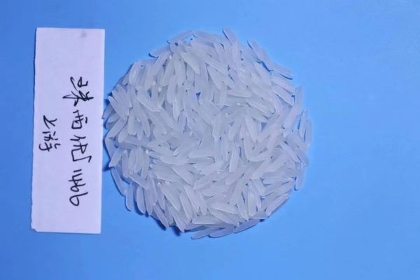 湖南興隆種業有限公司,長沙稻谷種植與銷售,長沙農作物品種的選育,長沙農業病蟲害防治服務 湖南興隆種業有限公司,長沙稻谷種植與銷售,長沙農作物品種的選育,長沙農業病蟲害防治服務