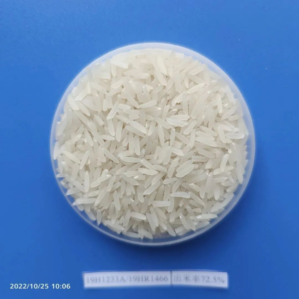 湖南興隆種業有限公司,長沙稻谷種植與銷售,長沙農作物品種的選育,長沙農業病蟲害防治服務 湖南興隆種業有限公司,長沙稻谷種植與銷售,長沙農作物品種的選育,長沙農業病蟲害防治服務