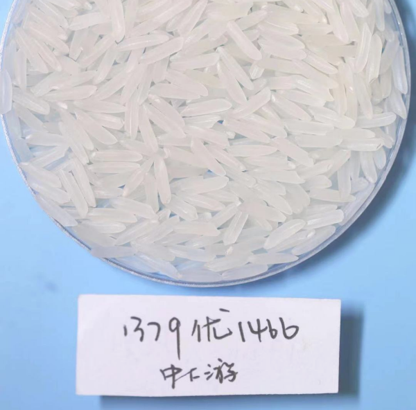 湖南興隆種業有限公司,長沙稻谷種植與銷售,長沙農作物品種的選育,長沙農業病蟲害防治服務 湖南興隆種業有限公司,長沙稻谷種植與銷售,長沙農作物品種的選育,長沙農業病蟲害防治服務