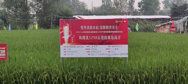 湖南興隆種業有限公司,長沙稻谷種植與銷售,長沙農作物品種的選育,長沙農業病蟲害防治服務 湖南興隆種業有限公司,長沙稻谷種植與銷售,長沙農作物品種的選育,長沙農業病蟲害防治服務