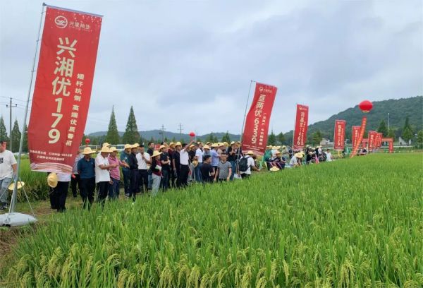 湖南興隆種業(yè)有限公司,長沙稻谷種植與銷售,長沙農(nóng)作物品種的選育,長沙農(nóng)業(yè)病蟲害防治服務 湖南興隆種業(yè)有限公司,長沙稻谷種植與銷售,長沙農(nóng)作物品種的選育,長沙農(nóng)業(yè)病蟲害防治服務