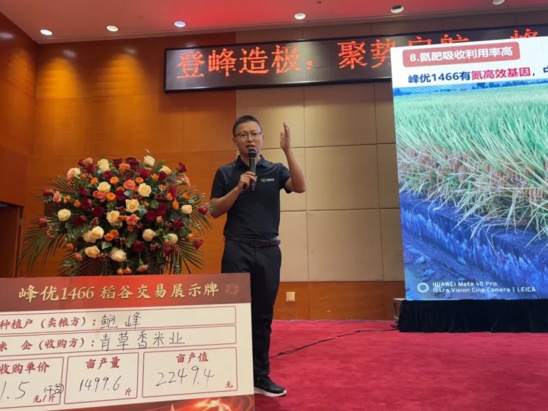 湖南興隆種業有限公司,長沙稻谷種植與銷售,長沙農作物品種的選育,長沙農業病蟲害防治服務 湖南興隆種業有限公司,長沙稻谷種植與銷售,長沙農作物品種的選育,長沙農業病蟲害防治服務