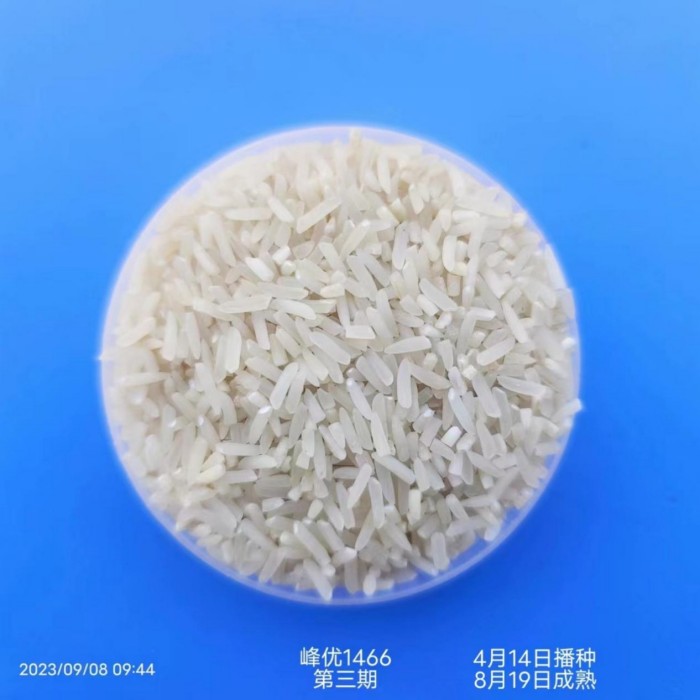 湖南興隆種業有限公司,長沙稻谷種植與銷售,長沙農作物品種的選育,長沙農業病蟲害防治服務